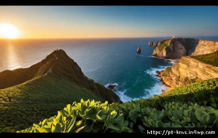 Investimento ético: como avaliar opções, custos e riscos antes de montar a carteira 4 윤리적 투자자를 위한 기본 지식 관련 이미지 2